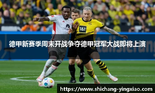 BB贝博艾佛森