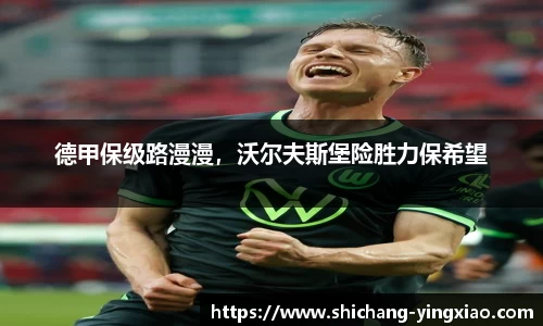 BB贝博登录入口