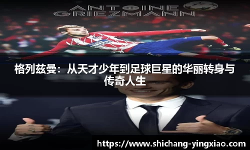 BB贝博登录入口