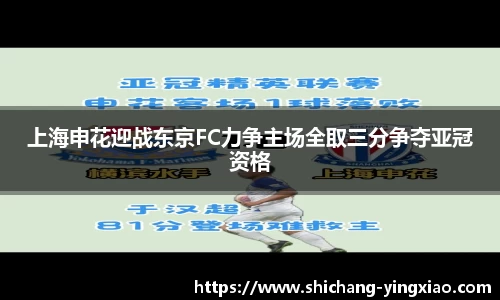 BB贝博登录入口